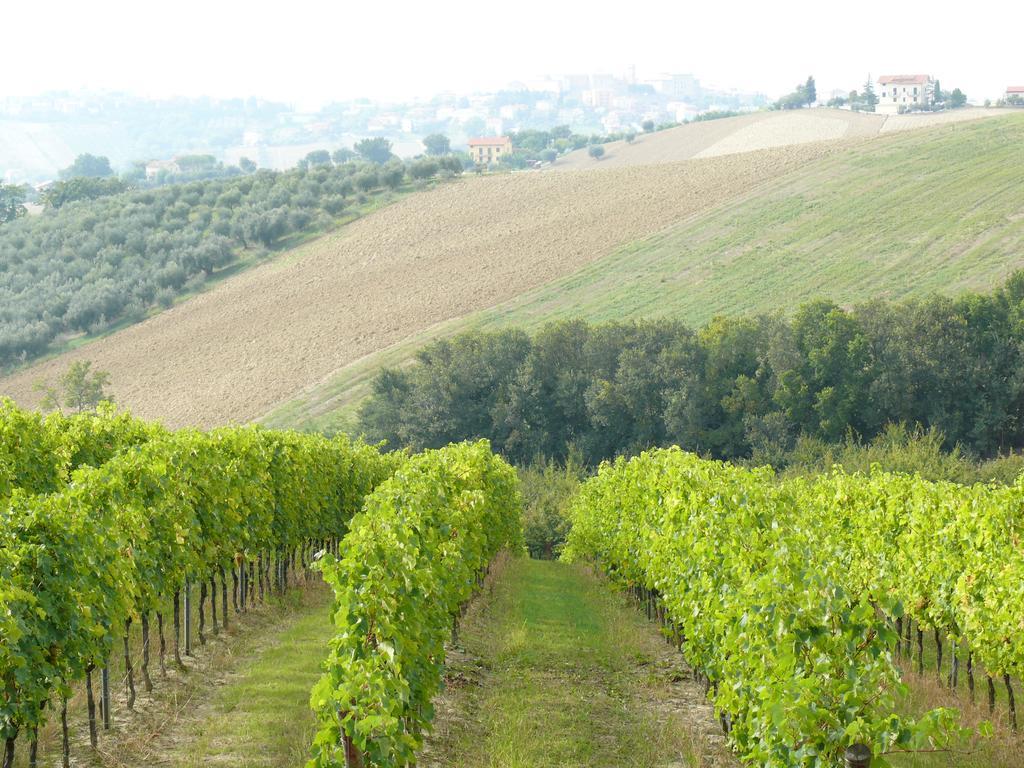 Agriturismo Al Rifugio Divino Belvedere Ostrense Exterior foto
